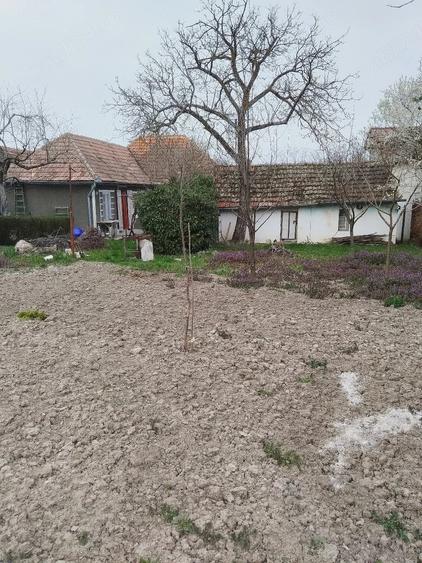 Casă cu Teren 800 Mp în Ginta