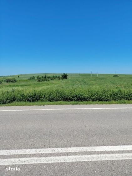 Teren de 3600 mp, în Cernele