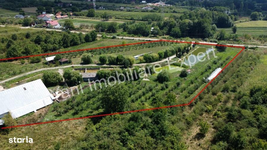 Teren de vanzare, Comuna Cepari, Judet Arges ( 40.672 mp ) - 11