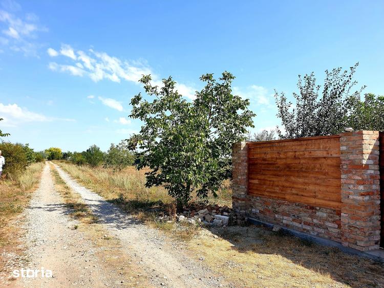 Teren de 500 mp, în Vânători