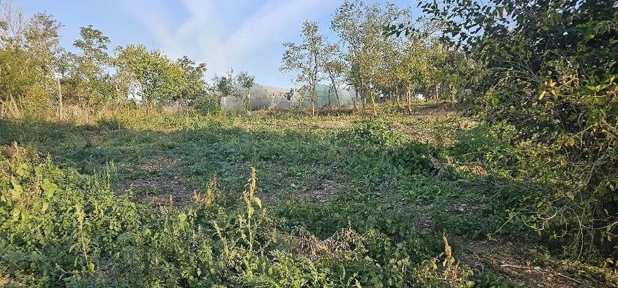 Teren de 840 mp, în Comoara
