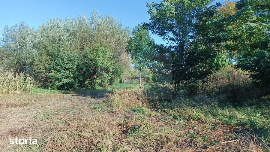 Teren de 3400 mp, în Horodnic