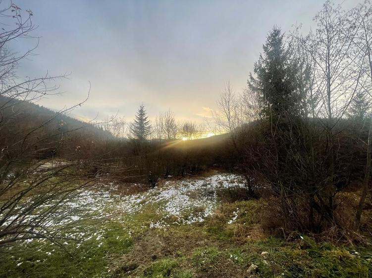 Teren Construcții intravilan de 22600 mp, în Sucevița