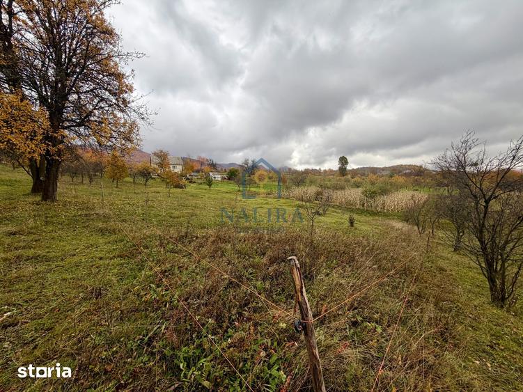 Teren de 3418 mp, în Valea Chioarului