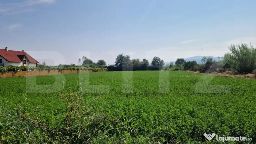Teren intravilan 3800 m Posibilitate afacere sau casa de loc - 5