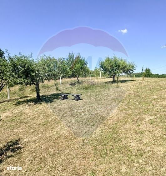 Casă cu Teren 3177 Mp în Ferești