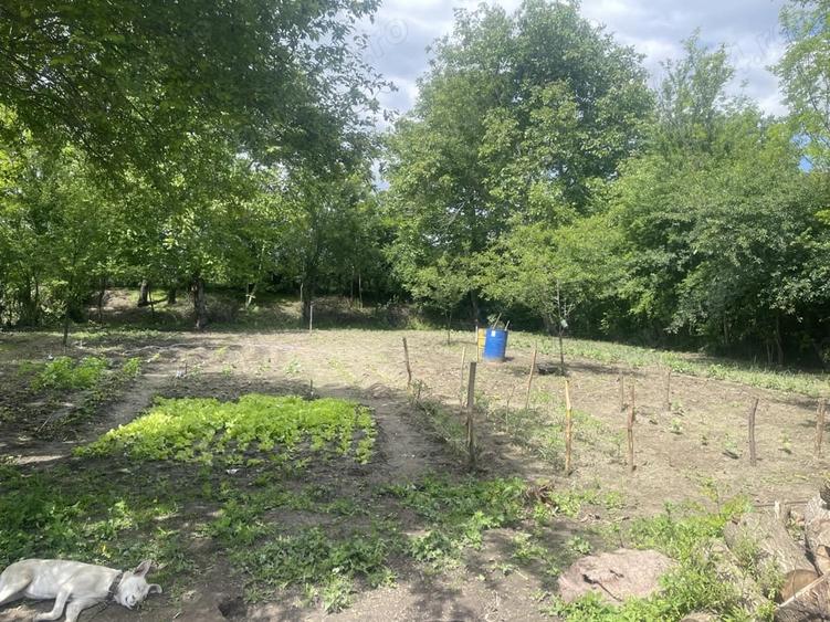 Casă cu 5 camere cu Teren 2000 Mp în Movila Miresii