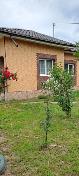 Casă cu Teren 1700 Mp în Șerbănești