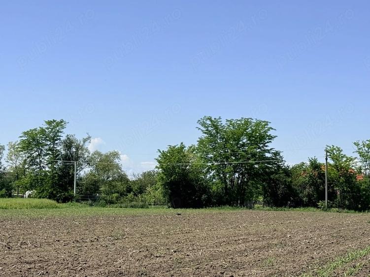 Teren de 5000 mp, în Mihai Vodă