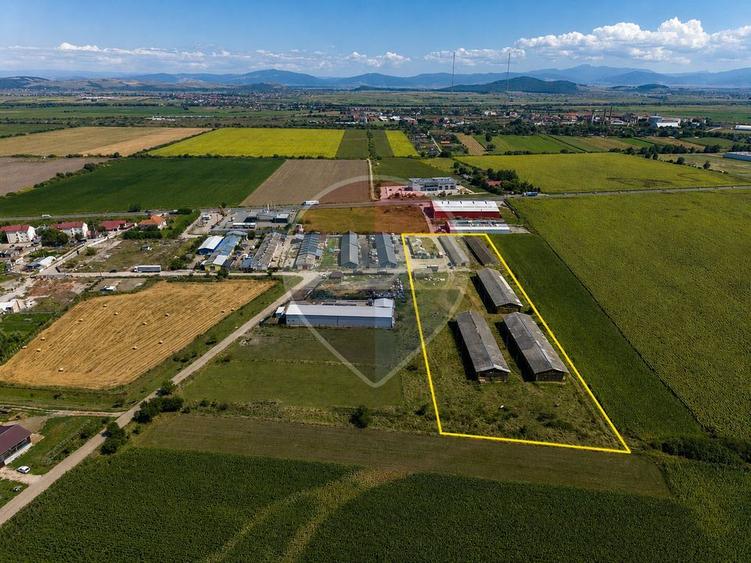 Teren Construcții intravilan de 17500 mp, în Hălchiu