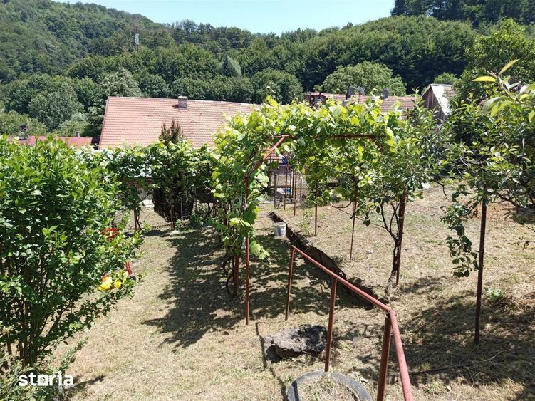Casă cu Teren 1803 Mp în Anina