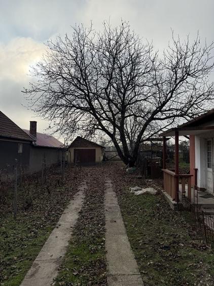 Casă cu 2 camere în Diosig