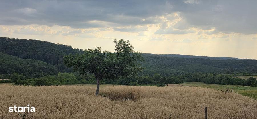 Teren de 9528 mp, în Vârciorog