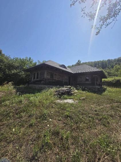 teren cu casa de vanzare - 7