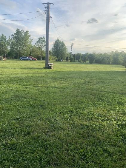 Casă cu Teren 4000 Mp în Dămieni