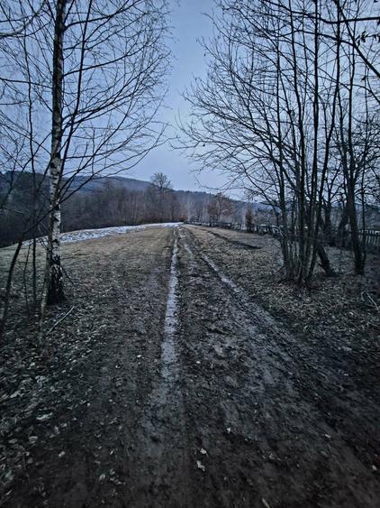 Teren agricol extravilan de 5000 mp, în Șinca Nouă