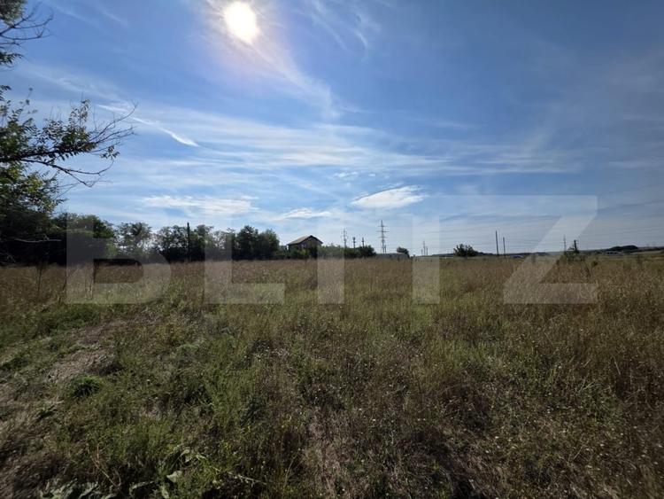 Teren agricol extravilan de 40000 mp, în Exterior Vest