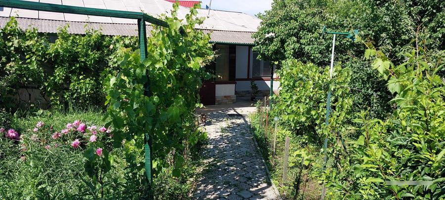 Casă cu 2 camere decomandat cu Teren 1600 Mp în Central
