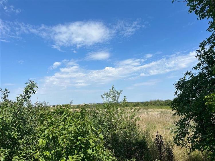 Teren Construcții intravilan de 39000 mp, în Leș