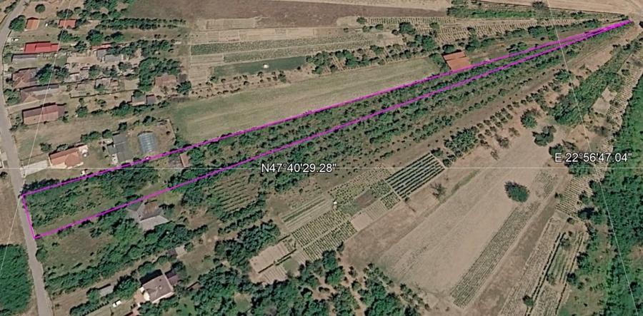 Teren Construcții intravilan de 4200 mp, în Viile Satu Mare