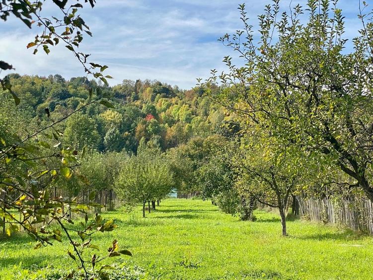 Casă cu 4 camere cu Teren 2224 Mp în Central