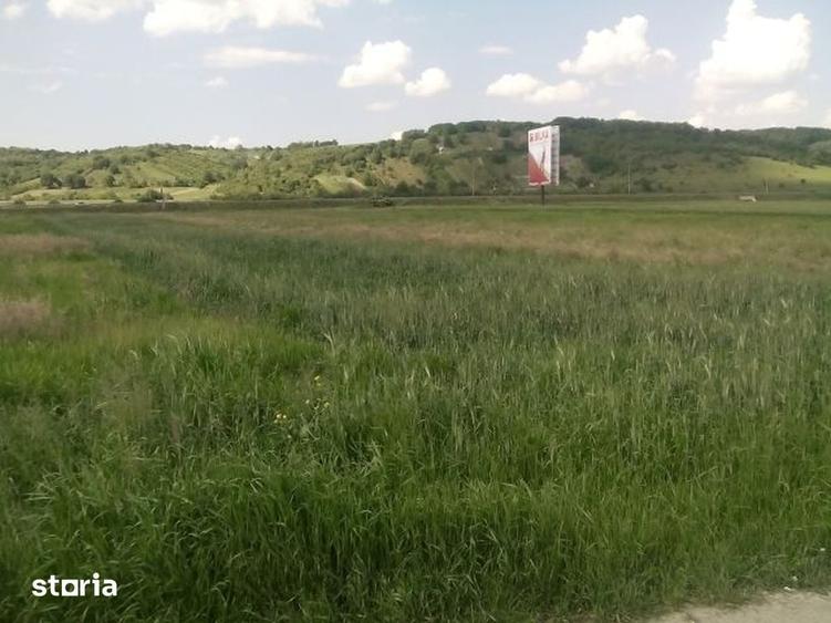 Teren de 5000 mp, în Cristian