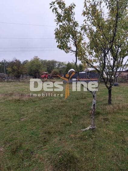 Casă cu 6 camere cu Teren 11250 Mp în Ștubeiu