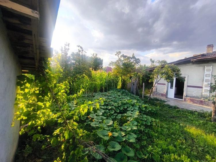 Casă cu 3 camere în Zorleni