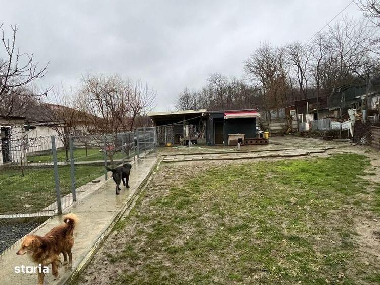 Teren de 1000 mp, în Central