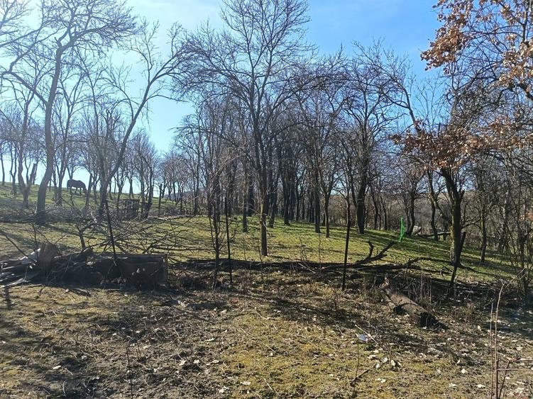Casă cu 3 camere cu Teren 1565 Mp în Sângătin