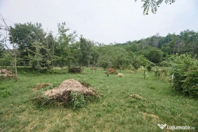 Teren în Moșoaia