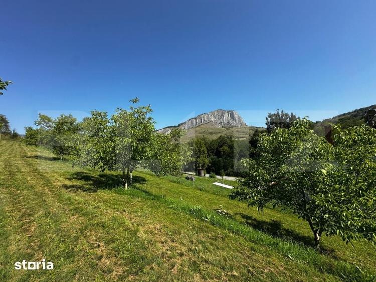 Teren de 1800 mp, în Sălciua