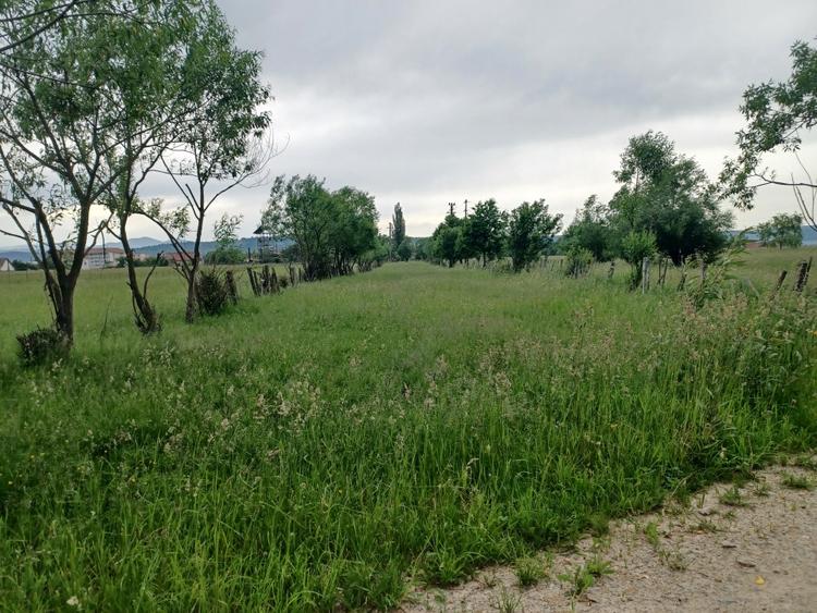 Teren Construcții intravilan de 10500 mp, în Exterior Nord