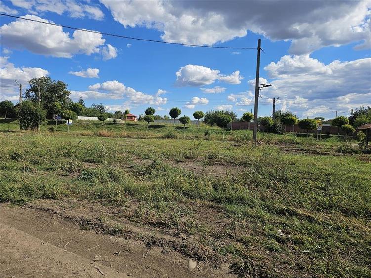 Teren Construcții intravilan de 2529 mp, în Sinești