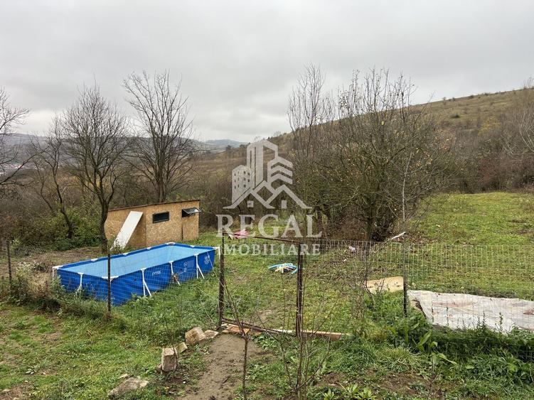 Casă individuală cu 7 camere cu Canalizare în Teliucu Inferior