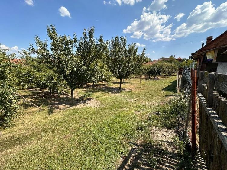 Casă cu 4 camere în Zorlențu Mare