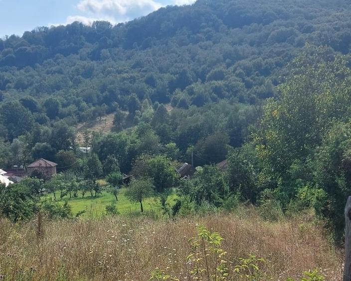 Teren Construcții intravilan de 1000 mp, în Bunești (Mălureni)