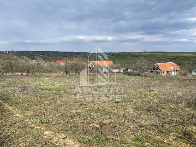 Teren Construcții intravilan de 2896 mp, în Herneacova