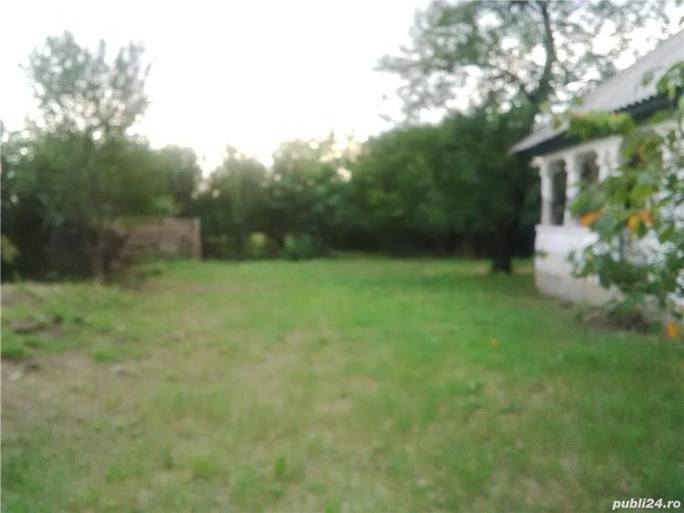 Teren de 7050 mp, în Albota