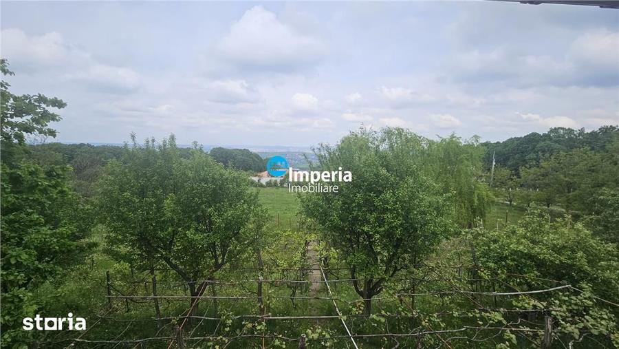 Casă cu 3 camere cu Teren 1500 Mp în Pădurii