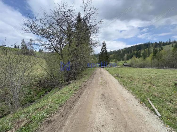 Teren de 6000 mp, în Șaru Dornei