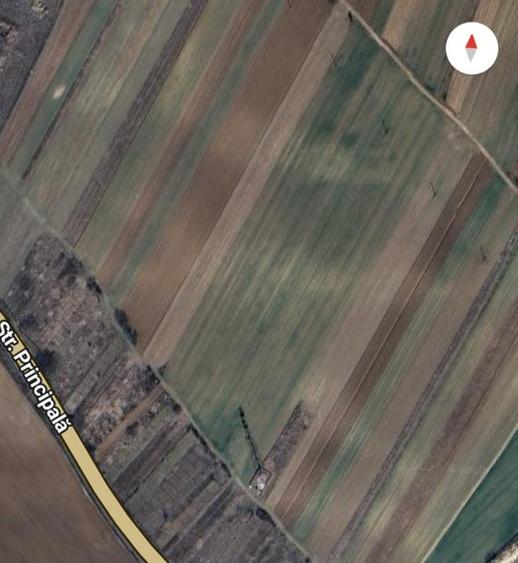 Teren Construcții intravilan de 11000 mp, în Coșoveni