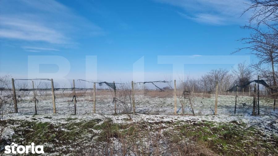 Teren de 50000 mp, în Ciorani