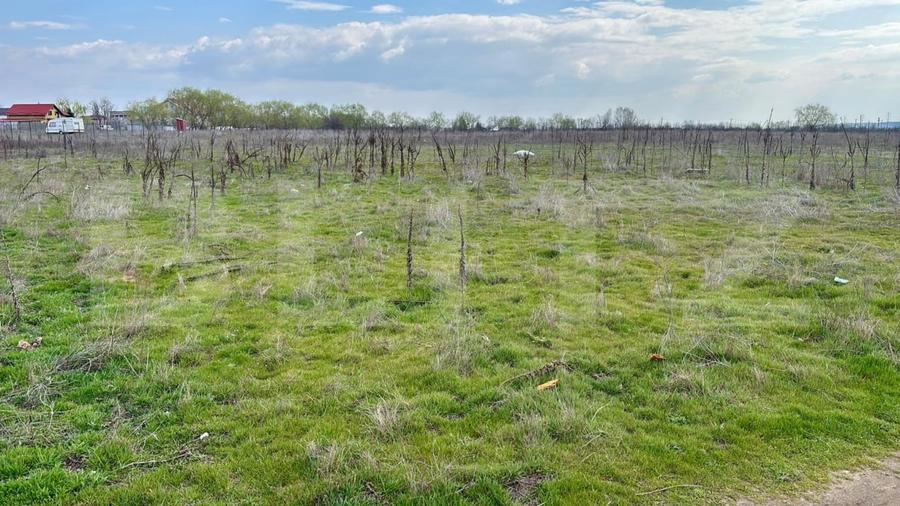 Teren Construcții extravilan de 1323 mp, în Cernele