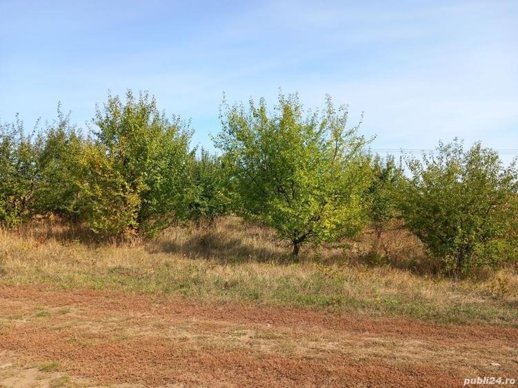 Teren de 3600 mp, în Rădășeni