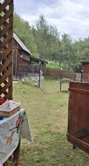 Casă cu 2 camere cu Teren 700 Mp în Vidra