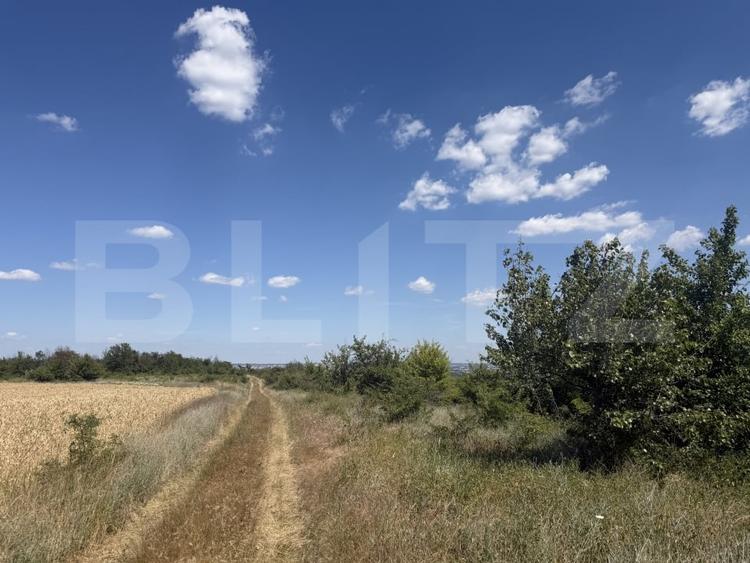Teren 6291 mp, extravilan, zona Leamna de jos - 4