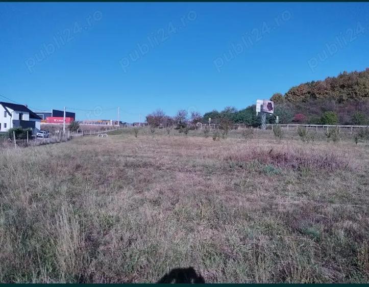Teren de 12300 mp, în Crainimăt