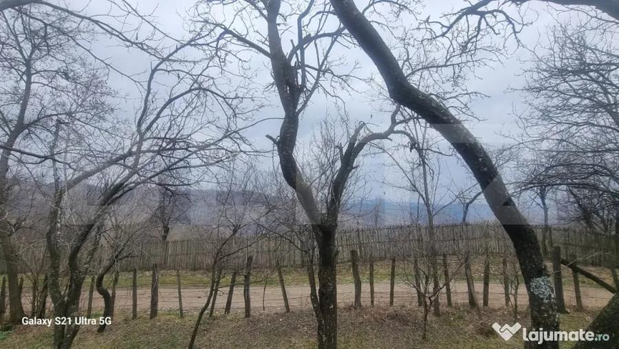 Teren în Schiulești