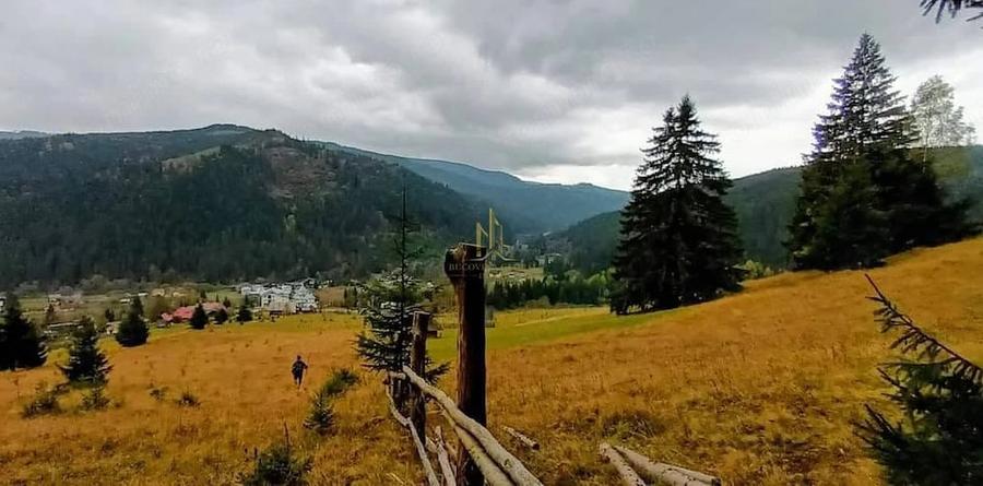 Teren de 32522 mp, în Valea Putnei